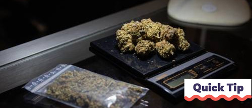 Increase Cannabis Yield with Advanced Growing Techniques