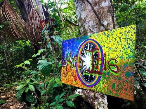 Everything you need to know about Ayahuasca and DMT Drugs in Europe