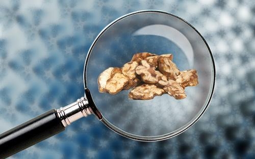 Microdosing Part 1: Magic Truffles