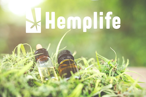 CBD Oil from Hemplife - Dutch Quality!