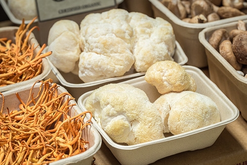 Edible Mushroom Extracts: Cordyceps, Chaga and Reishi