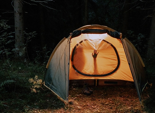 Spanish Fly, Natural Erection Pills and other Aphrodisiacs