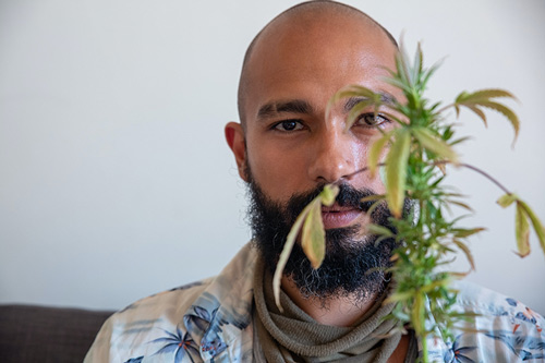 Solving 7 Leaf Problems in Cannabis for Beginner Growers