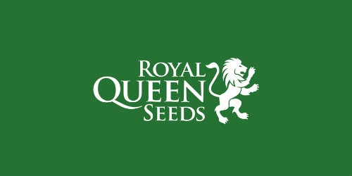 Royal Queen seeds marijuana seeds