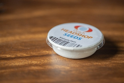 Germinating cannabis seeds with wads and Dutch-Headshop tray