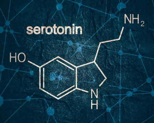 Serotonin deficiency? L-Tryptophan or 5-HTP to battle your Drug Dip