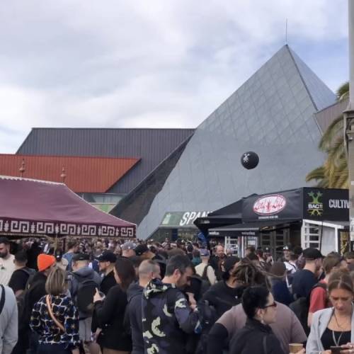 Dutch Headshop to Spannabis 2023 (Report)