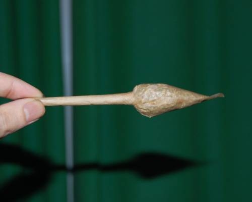 Rolling a Special Joint? Tulip, Cross, Twister, Diamond or Pipe