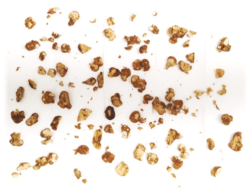 fresh magic truffles