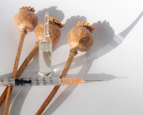 What Is Opium And What Are Opiates?