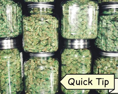 Curing Weed | Quick Tip