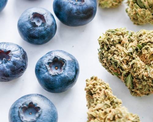 How to Make Weed Taste Better In 8 Steps